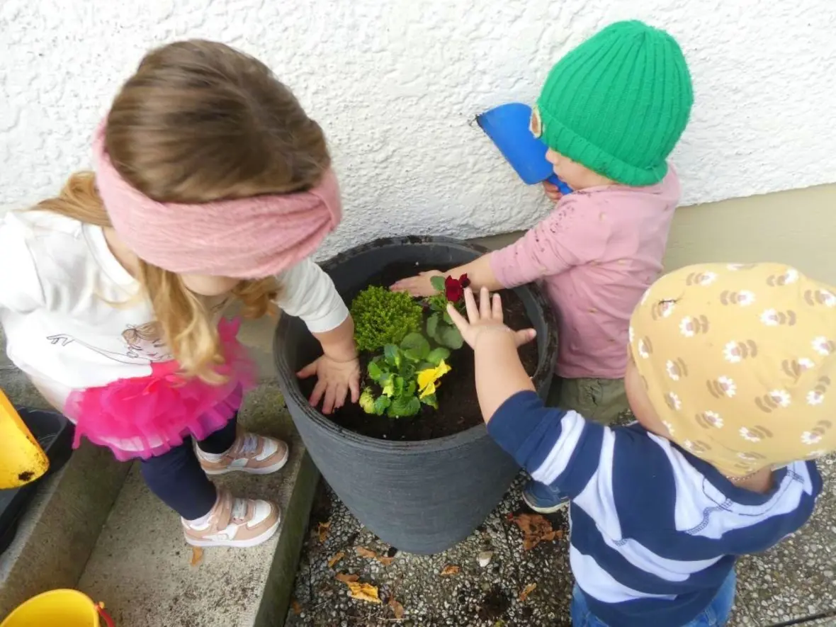 Drei Kinder pflanzen Blumen in einen großen Blumentopf und lernen dabei Gartenarbeit.