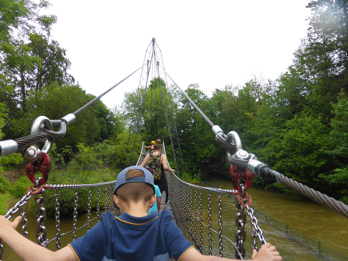 Überqueren einer Hängebrücke mit Kindern in einem bewaldeten Gebiet, im Hintergrund ein fließendes Gewässer.