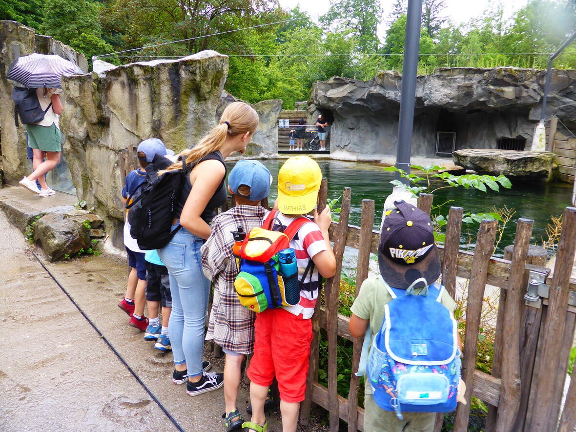 Eine Gruppe Kinder beobachtet einen Tiergehege im Zoo, während eine Erwachsene hinter ihnen steht.